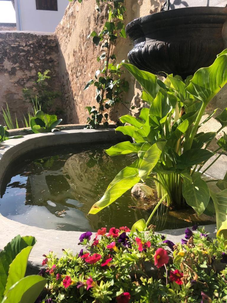 Ca Margalef - Casa Rural Con Encanto Ginestar Ngoại thất bức ảnh